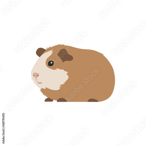 Flat vector illustration of a guinea pig in side view, simple cartoon style, isolated design for pet, animal, or children’s designs