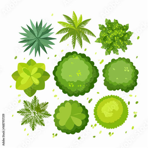 Vector set of tropical green tree top view isolated on white background for landscape plan and architecture drawing, elements for environment and gard
