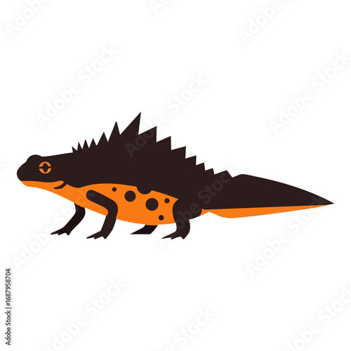 great crested newt vector illustration