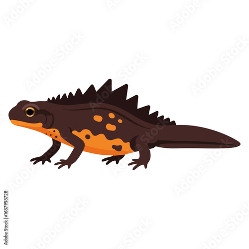 great crested newt vector illustration