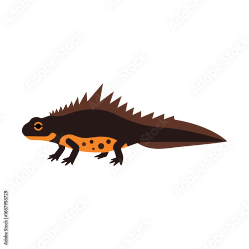 great crested newt vector illustration
