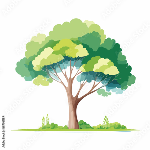 Vector of abstract watercolor tree side view isolated on white background for landscape plan and architecture layout drawing, elements for environment and .