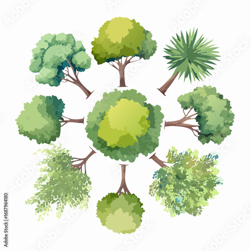 set of watercolor tree top view isolated for landscape plan and architecture element