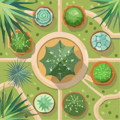 cactus top view for landscape plan and architecture element or decorative,tropical garden