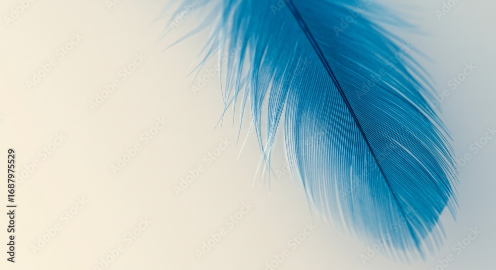 Fototapeta premium Luminous Feather: Blue & White on Soft Background