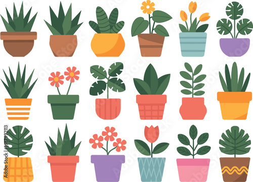 Collection of twenty four potted plants with various leaves and flowers houseplants indoor plants