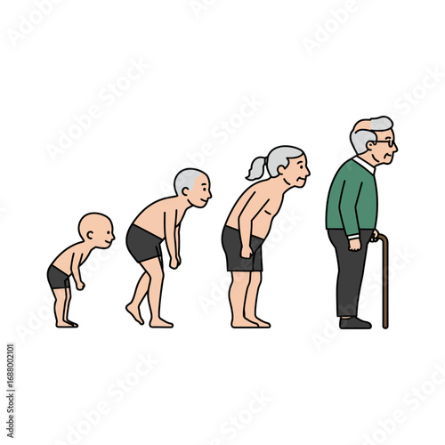 aging process illustrating life stages showing growth development age from baby to old age with cane