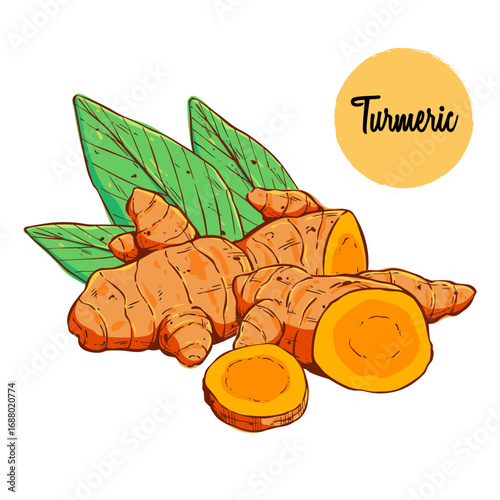 Hand-Drawn Illustration of Turmeric Root with Leaves and Sliced Pieces – Botanical Sketch