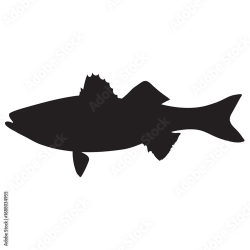 sea bass fish vector silhouette