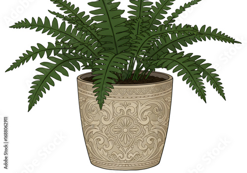 Isolated Fern Plant In A Decorative Pot Illustration On Transparent Background