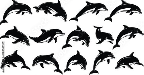 "Black and white dolphin silhouettes in dynamic swimming and jumping poses, ideal for marine life design, education, and vector art"