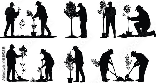 Silhouette of people planting trees, digging soil, gardening with shovels, outdoor eco farming illustration, agriculture work, nature care, vector design