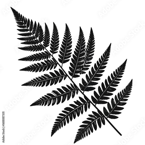 Wallpaper Mural Detailed Silhouette of a Fern Frond Against White Background With a Simple Elegant Look Torontodigital.ca