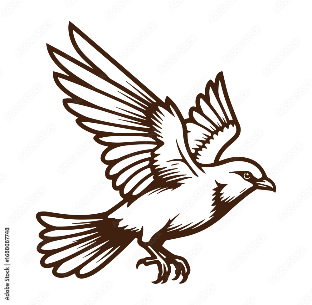 Obraz premium Vector illustration of a detailed bird in flight isolated on a clean white background