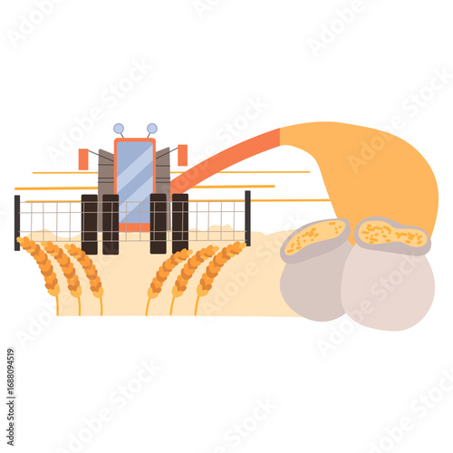 Combine harvester machine reaping a field of ripe wheat grain during the harvest