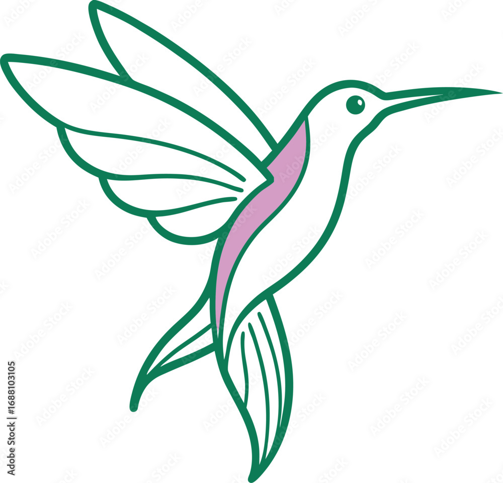 Obraz premium Hummingbird Thin Wings Outline