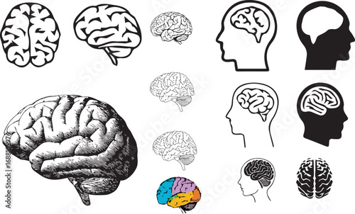human brain icons set