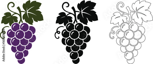 Grape Fruits Bunch Vector Set Color, Silhouette, and Line Art Illustration