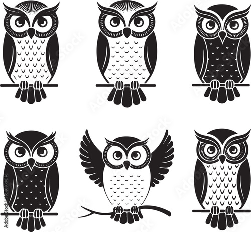 Stylized owl illustration with vibrant color accents