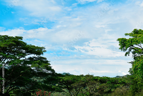 Paisaje con naturaleza verde, cielo azul.