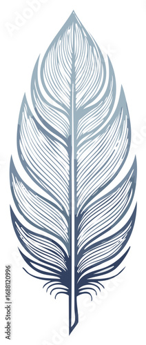 Single feather illustration in blue with detailed line work and textured elements