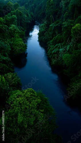 Deep blue river winding through lush green dense jungle canopy water forest