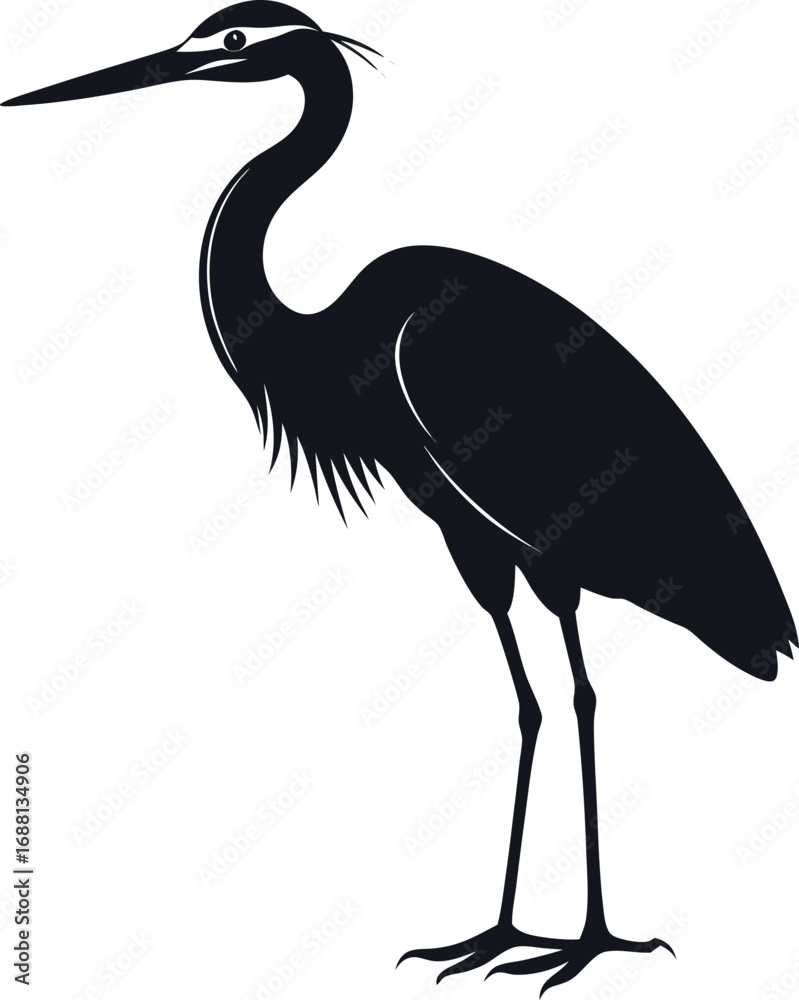 Obraz premium Silhouette Of Egret Standing Vector