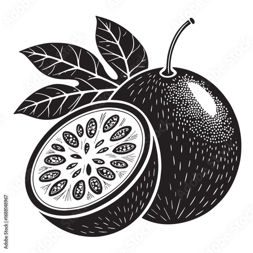 Black passion Silhouette Vector, High Quality Illustration on White Background