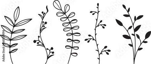 Set of vector plants and herbs. Hand drawn floral elements. Silhouettes of natural elements for seasonal backgrounds. Vector illustration