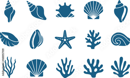 Oceanic Treasures A Collection of Seashells, Starfish, and Coral Exploring Marine Life's Natural Beauty