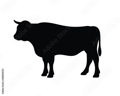 Silhouette of a muscular bull standing on a white background, cattle icon