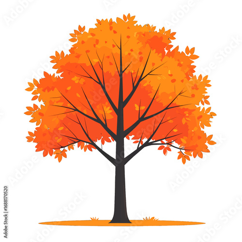 Isolated Orange Maple Tree Illustration on White Background with Simple Design and Autumnal Foliage Depicting Season Change and Vibrant Colors