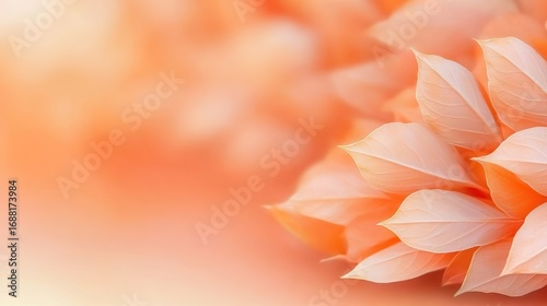 Soft peach-colored abstract background with delicate layered leaves on the right side, autumn banner with copy space