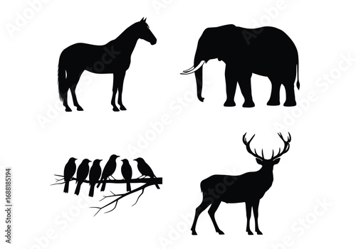 Horses, Elephants, Deer, and Birds in Nature Illustrations - Artistic Animal Compilation