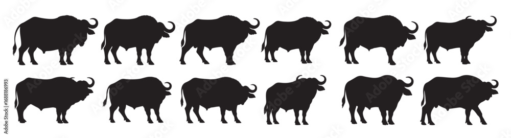 Fototapeta premium african buffalo silhouette white background