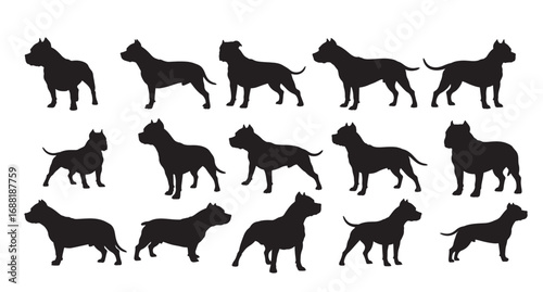 AMERICAN PI BULLDOGS SILHOUETTE WHITE BACKGROUND
