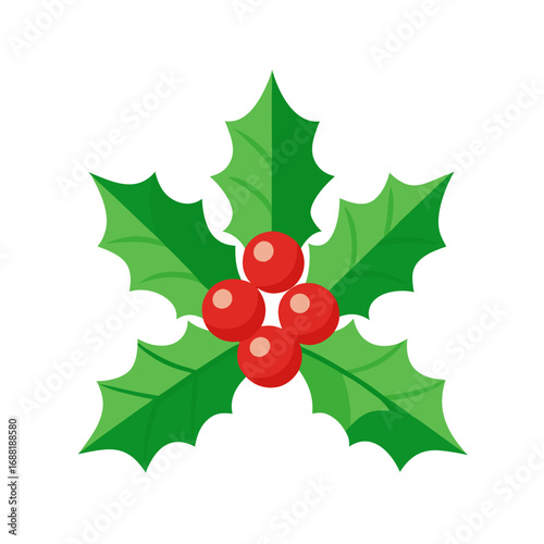 Christmas holly leaves and red berries vector design