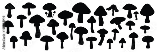 big collection of mushrooms silhouette vector illustration