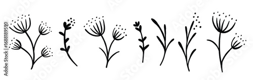 black floral sketches set hand drawn botanical elements