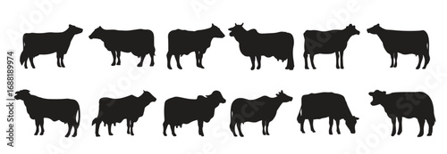 cow animal silhouettes hand drawn bundle set