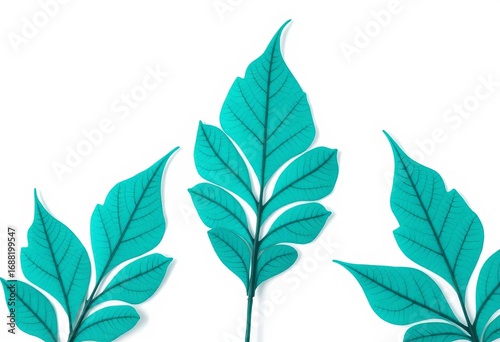 Intricate turquoise leaf silhouettes on pristine white background, art, shape