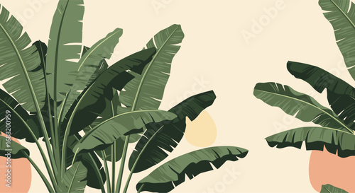Tropical banana leaf foliage art creates modern, calming background for creative projects and designs