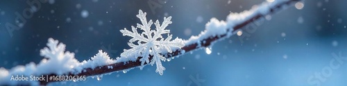 Serene Winter Snowflake Close-Up of Delicate Ice Crystals on a Frosty Branch, Evoking the Magic of Frozen Water and Winter Wonderland Beauty.  Perfect for Holiday and Winter Season Designs.