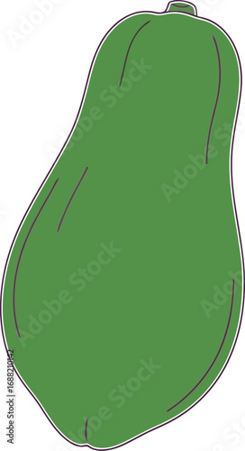Fresh green avocado fruit healthy food isolated on diet ingredient vector