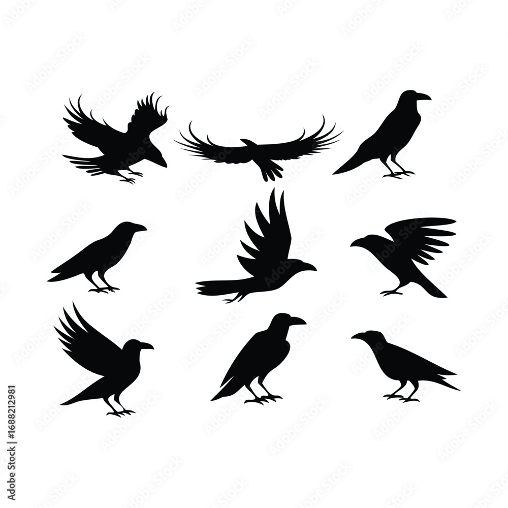 Fototapeta premium Crow and Raven Silhouettes – Black Bird Vector Set