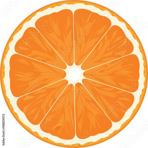 Brightly lit juicy orange slice round citrus fruit top view healthy food ingredient vector