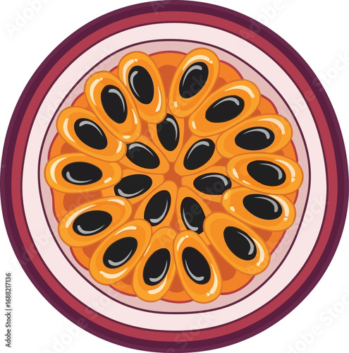 Juicy passion fruit slice top view exotic tropical fruit healthy food ingredient vector