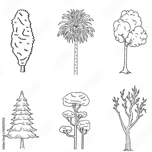 collection of various hand-drawn trees, including different species like palm, conifer, and deciduous trees.