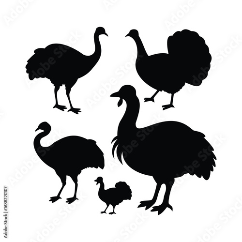 Silhouettes of Turkeys – Farm Bird Vector Set