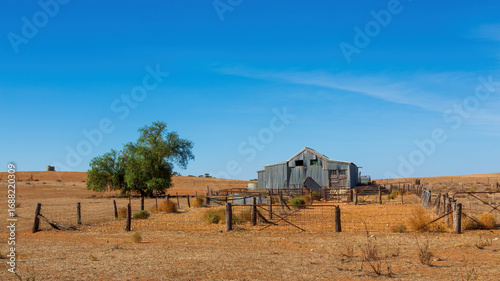A classic corrugated iron shearing shed with adjoining timber and wire yards stands in the rural Victorian landscape, embodying Australia’s pastoral heritage. 